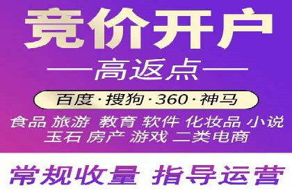 百度SEO推广策略全解析：某企业从零到一的成长历程